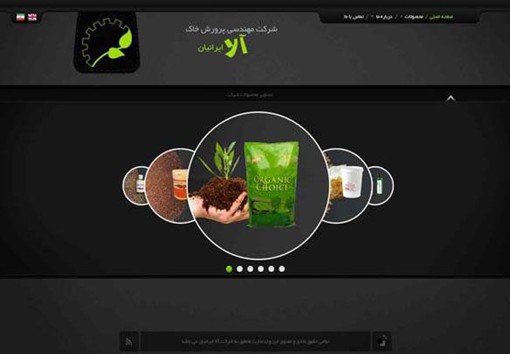 طراحی سایت شرکت آلای ایرانیان
