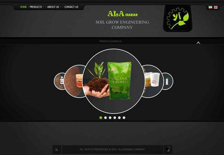 طراحی سایت شرکت آلای ایرانیان